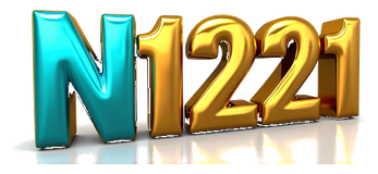 ns1221 login